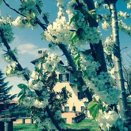 Bed & Breakfast Al Casale Di Sandro E Marina Viterbo